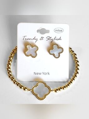Stainless Steel Bracelet and Earring Set